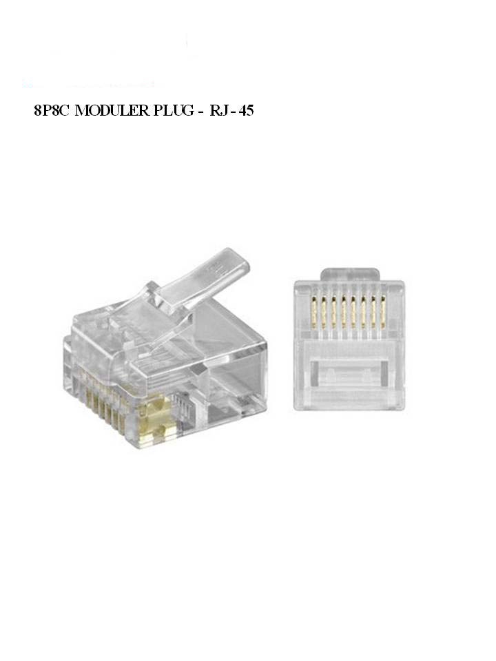 RJ 45 FİŞ 100 LÜ
